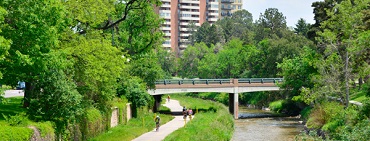 Cherry Creek Perspective